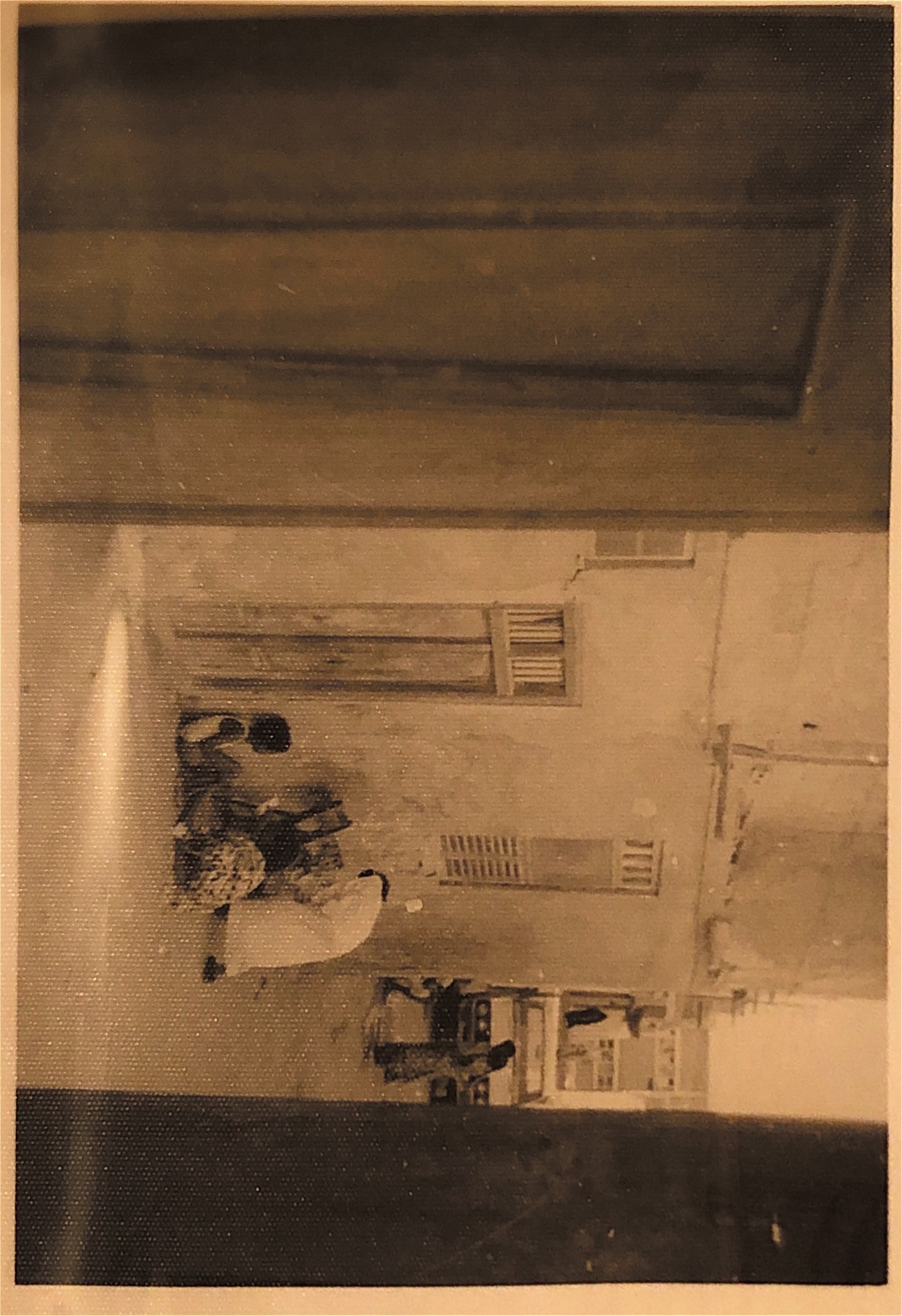 أحمد مبارك الضليعي